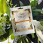Cosmos Organic Tonic’pulp ansiktsmaske
