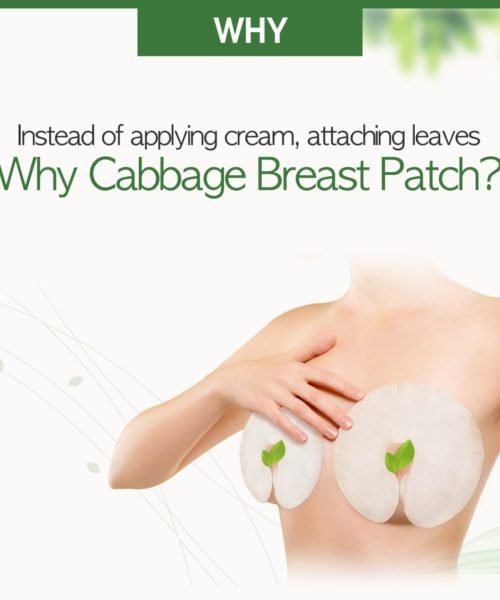 2.cabbage-breast-patch_en_-min