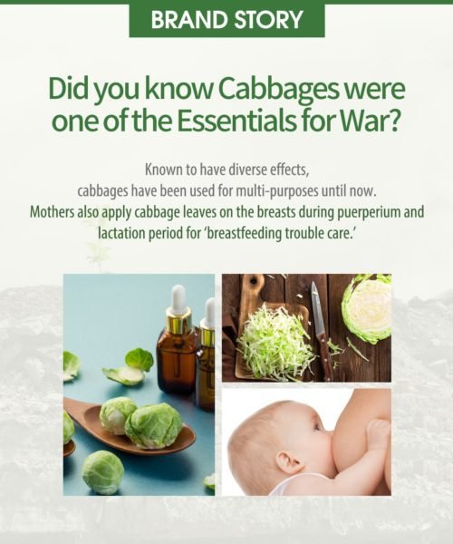 4.cabbage-breast-patch_en_-min